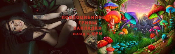 гидра Красноперекопск