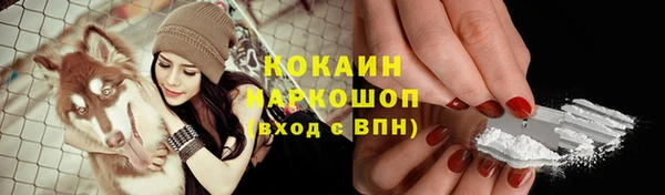 прущий лед Костерёво