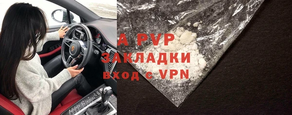 прущие крисы Калининец