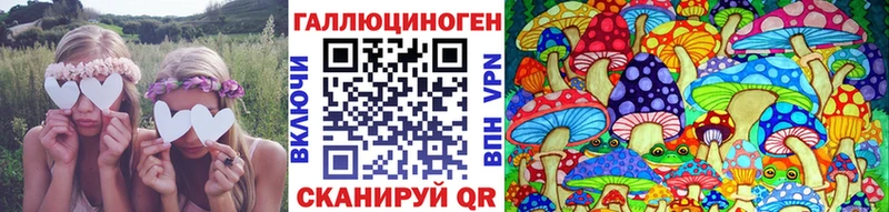 мега tor  Йошкар-Ола  Галлюциногенные грибы прущие грибы 